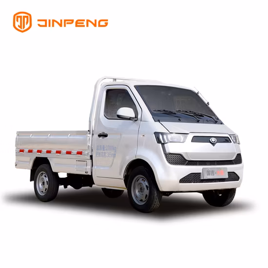 mini camioncino elettrico elettrico del camion 4X2 1000kg 1ton della nuova energia della lunga autonomia di 200km mini da vendere
